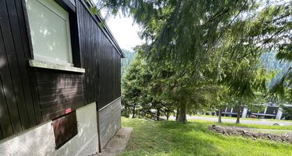 T2 VassiviĂšre Ă Font D'Alagnon
