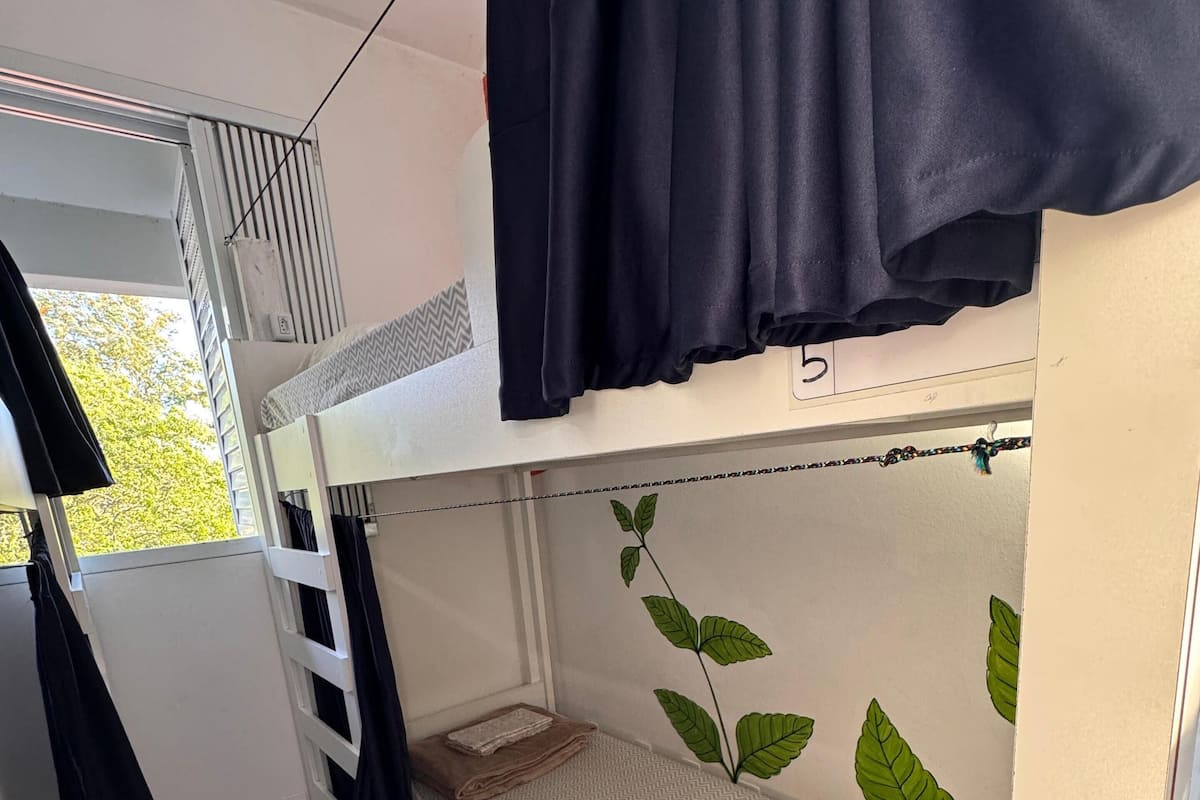 A compact room with a bunk bed, a window with curtains, a radiator, and a wall with a leaf pattern.