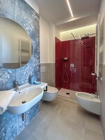 Ducha, secador de pelo, bidé y toallas