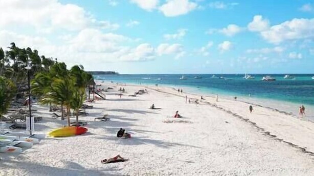En strand med hvidt sand, palmer og en klar blå himmel.
