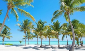 Playa