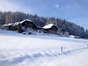Exterior - Austrian luxury villa with pool/outdoor fire pit (Ebenthal)