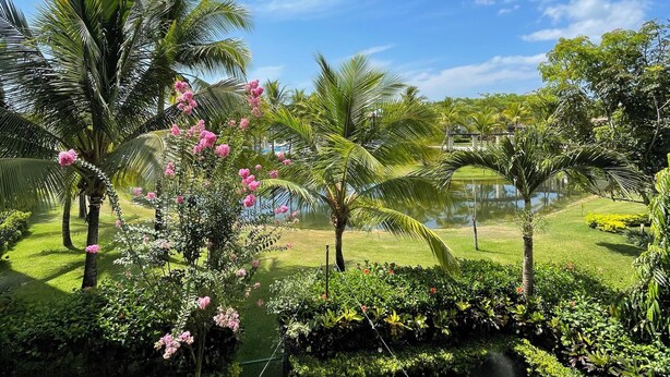 A well-maintained garden with palm trees, flowering plants, and a clear blue sky. - Harmony Lush Refuge 3BR Laguna (Río Hato)
