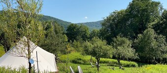 Cozy Off-grid Cabins in beautiful Denver, NY, Catskills with WiFi - Sleeps 4