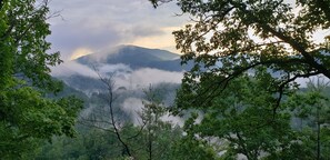 Shower, jetted bath, hair dryer, towels - Charming 3-bedroom house with AC and WiFi in Topton near Nantahala Forest (Topton)