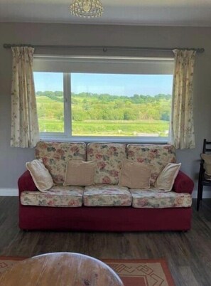 Fireplace, DVD player, books