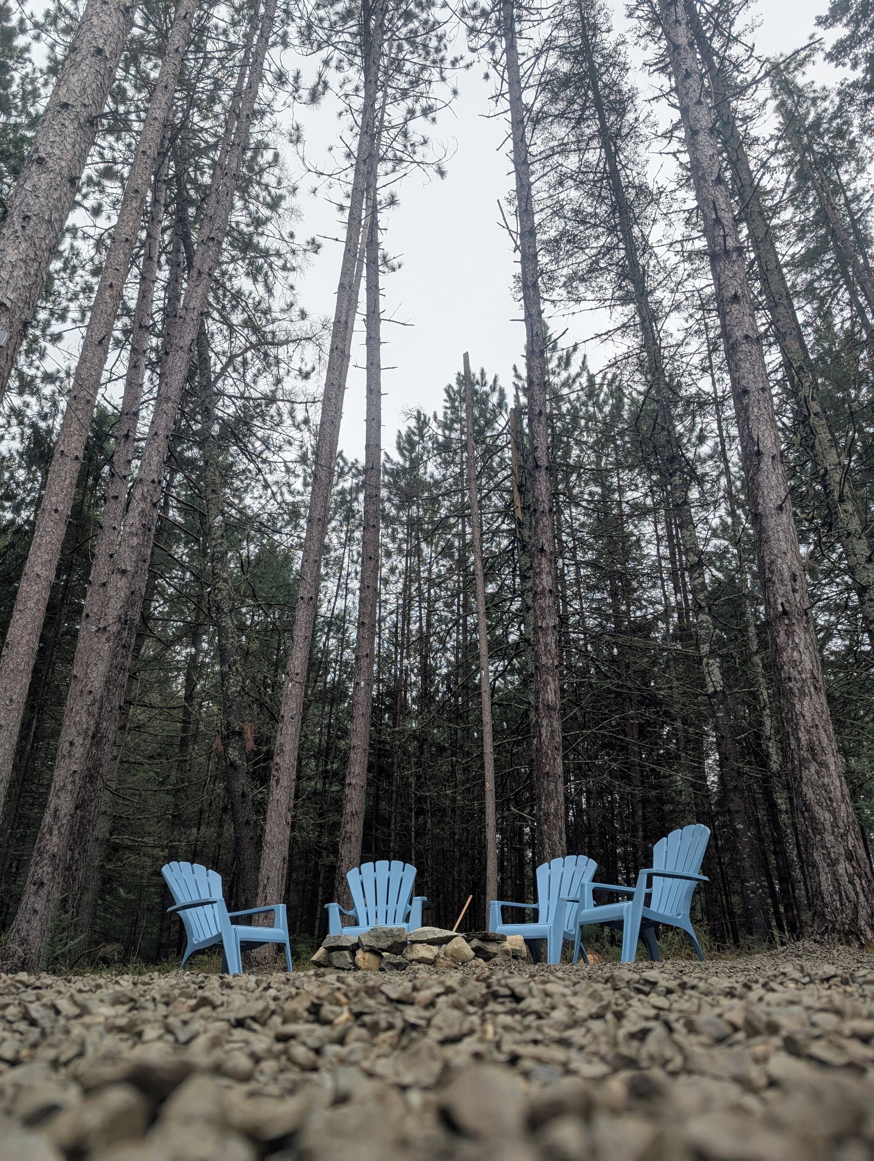 Overnatningsstedets område