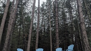 Un bosque con árboles altos y tres sillas Adirondack azules dispuestas en semicírculo frente a una fogata.