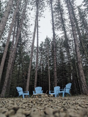 Property grounds - Wilderness Retreat 3-bedroom cabin in Eustis, Maine (Eustis)