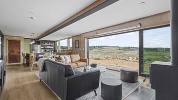 Smart TV, fireplace, books, stereo