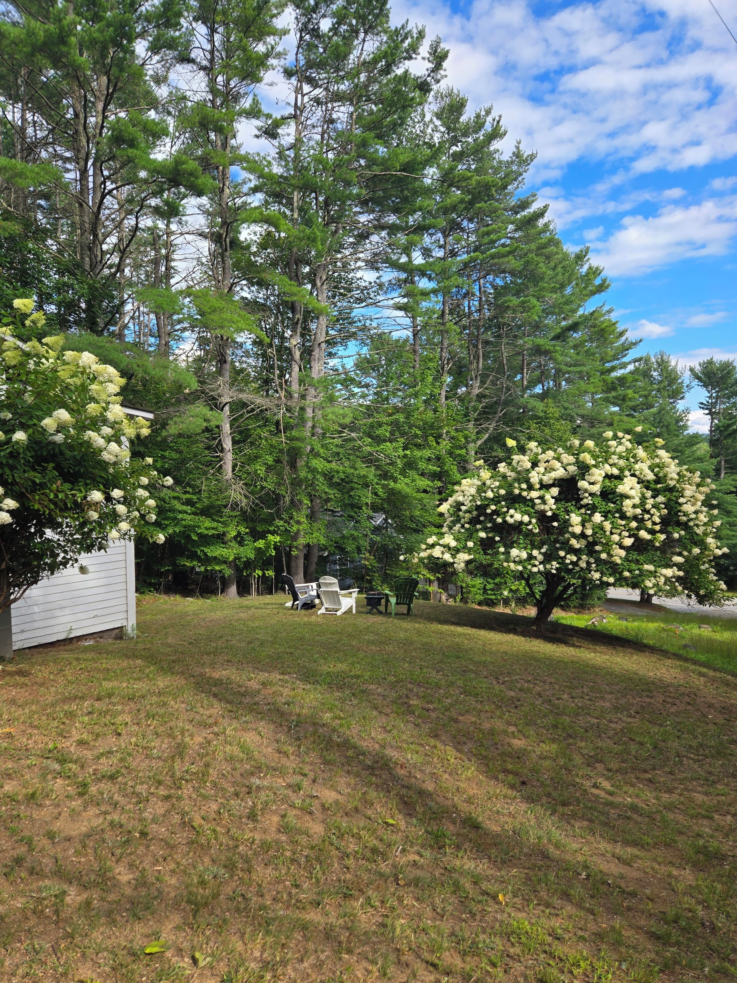 Un jardin avec une pelouse, des arbres et du mobilier d’extérieur.