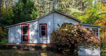 Cozy 2-bdrm, 3-season Adirondack cabin at tranquil Great Sacandaga Lake w/WiFi