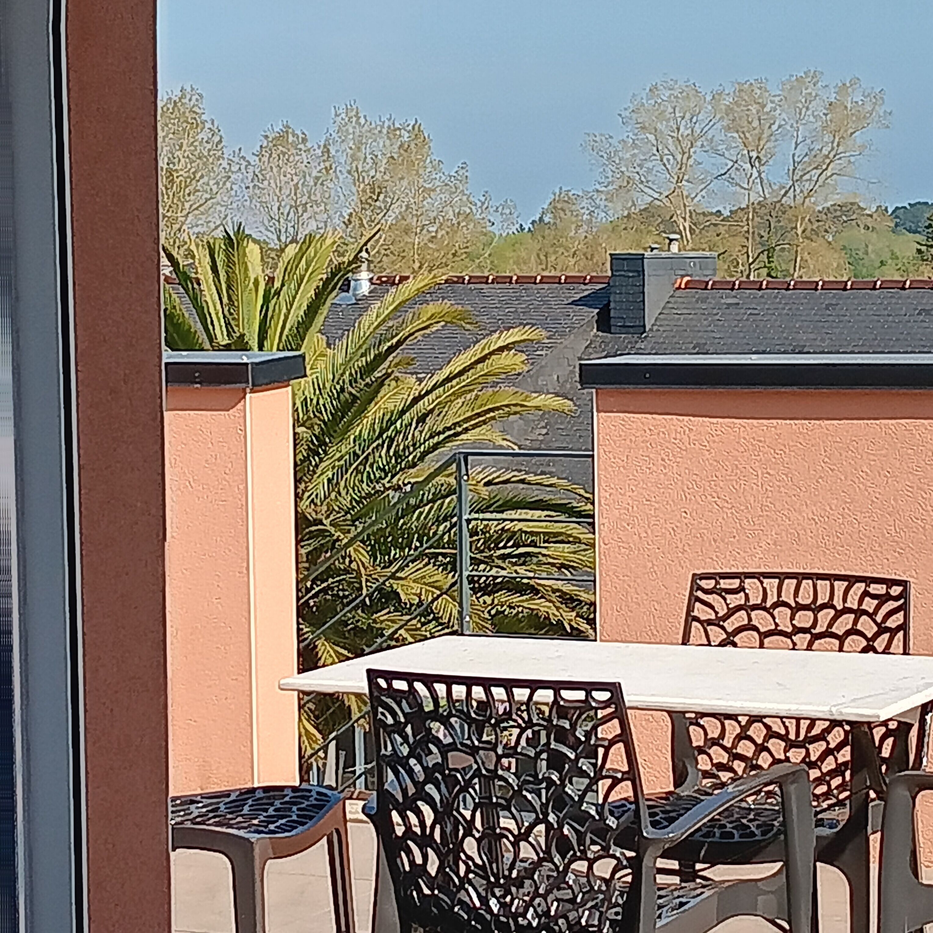 A patio area with a table and chairs, a palm plant, and a view of trees and a building in the background.