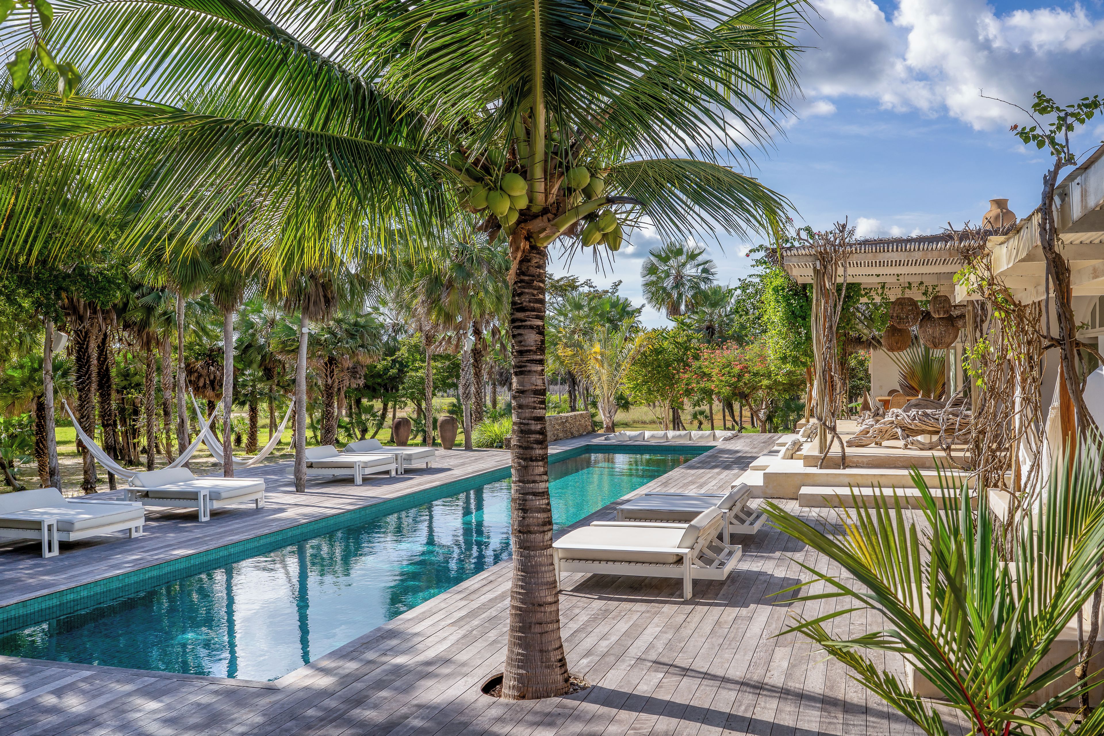 Un área de piscina con sillones reclinables y palmeras.