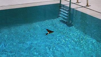 Kauden mukainen ulkouima-allas avoinna 9.00–20.00, aurinkovarjoja