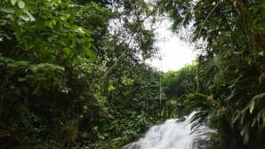 A waterfall cascading down a rocky slope surrounded by dense green foliage. - COCOZNA Glamping (Samaná)