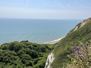 Enjoy walks along the cliffs at Beer Head - Branscombe Lodge is nestled in a serene wooded valley (Branscombe)