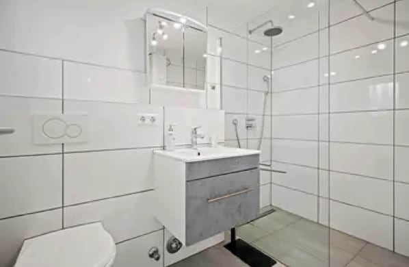 Shower, hair dryer, towels, toilet paper