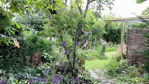 A garden with a variety of plants and a wooden pergola.