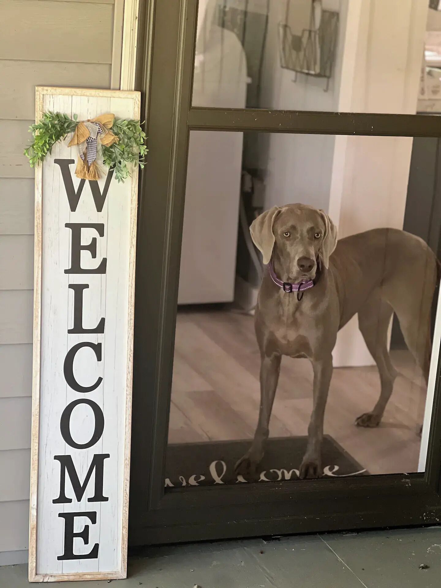 Serene, Family & Dog Friendly Modern Cabin- Less than 15 mins from the Lake 