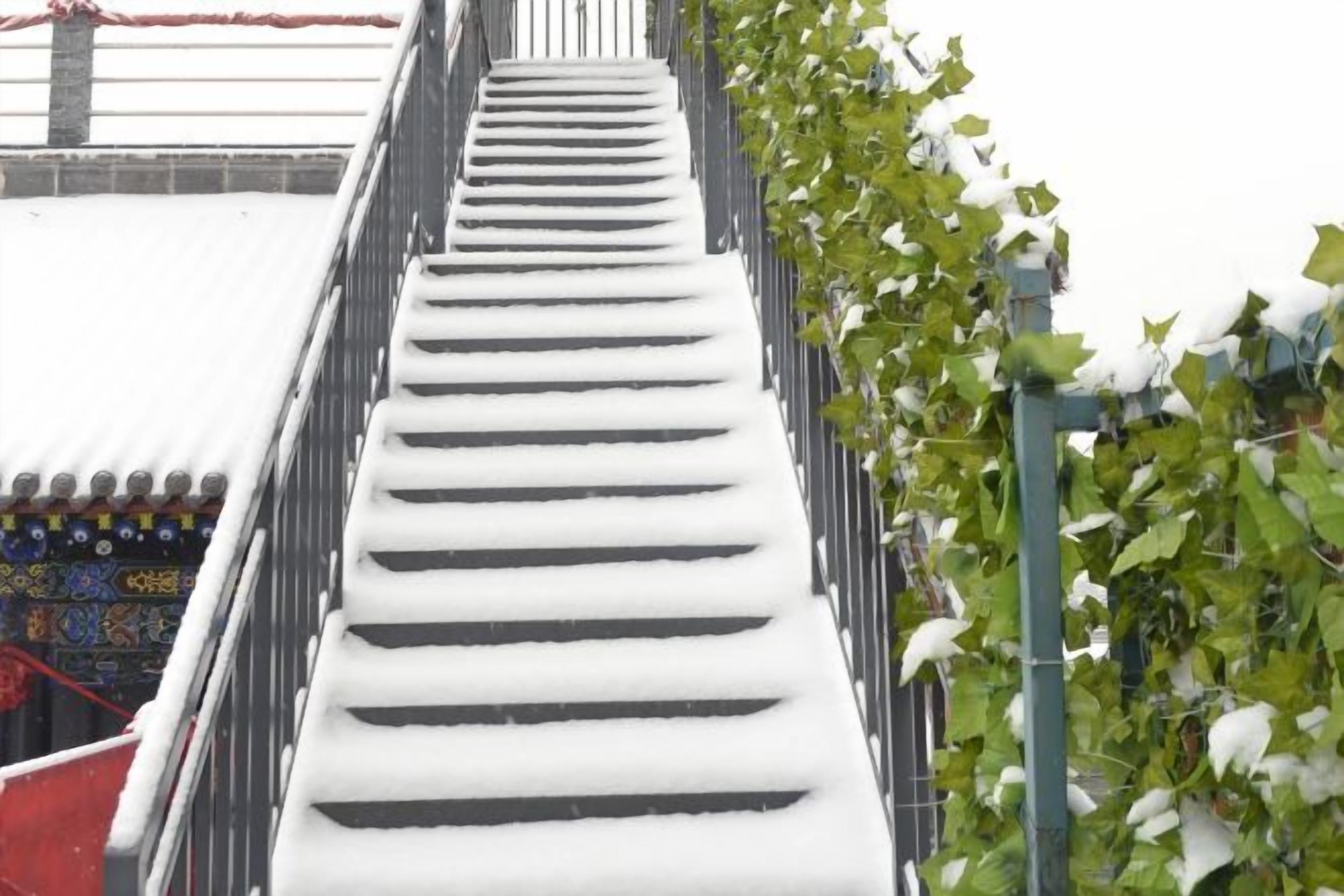 施設の敷地