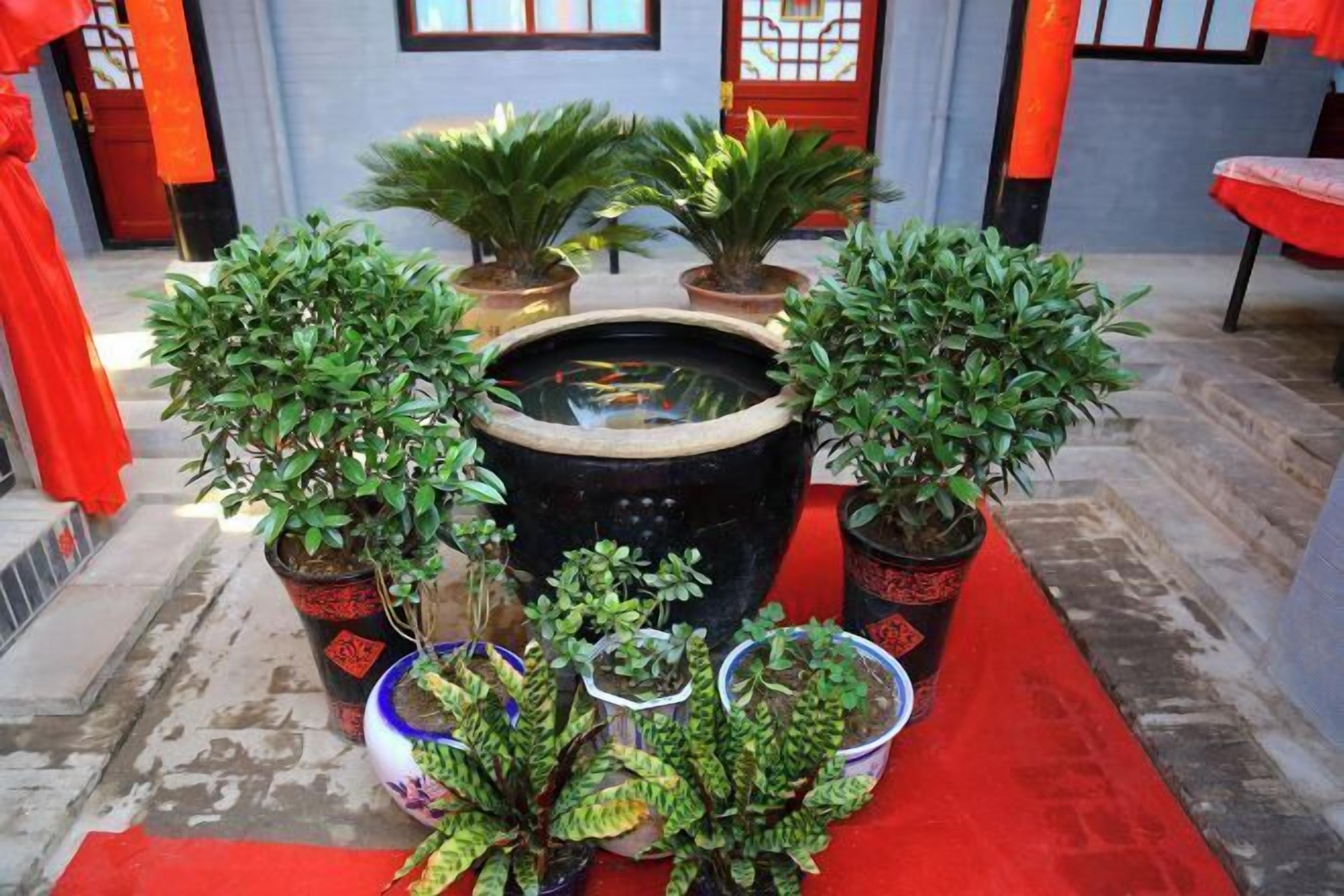 Áreas de la propiedad