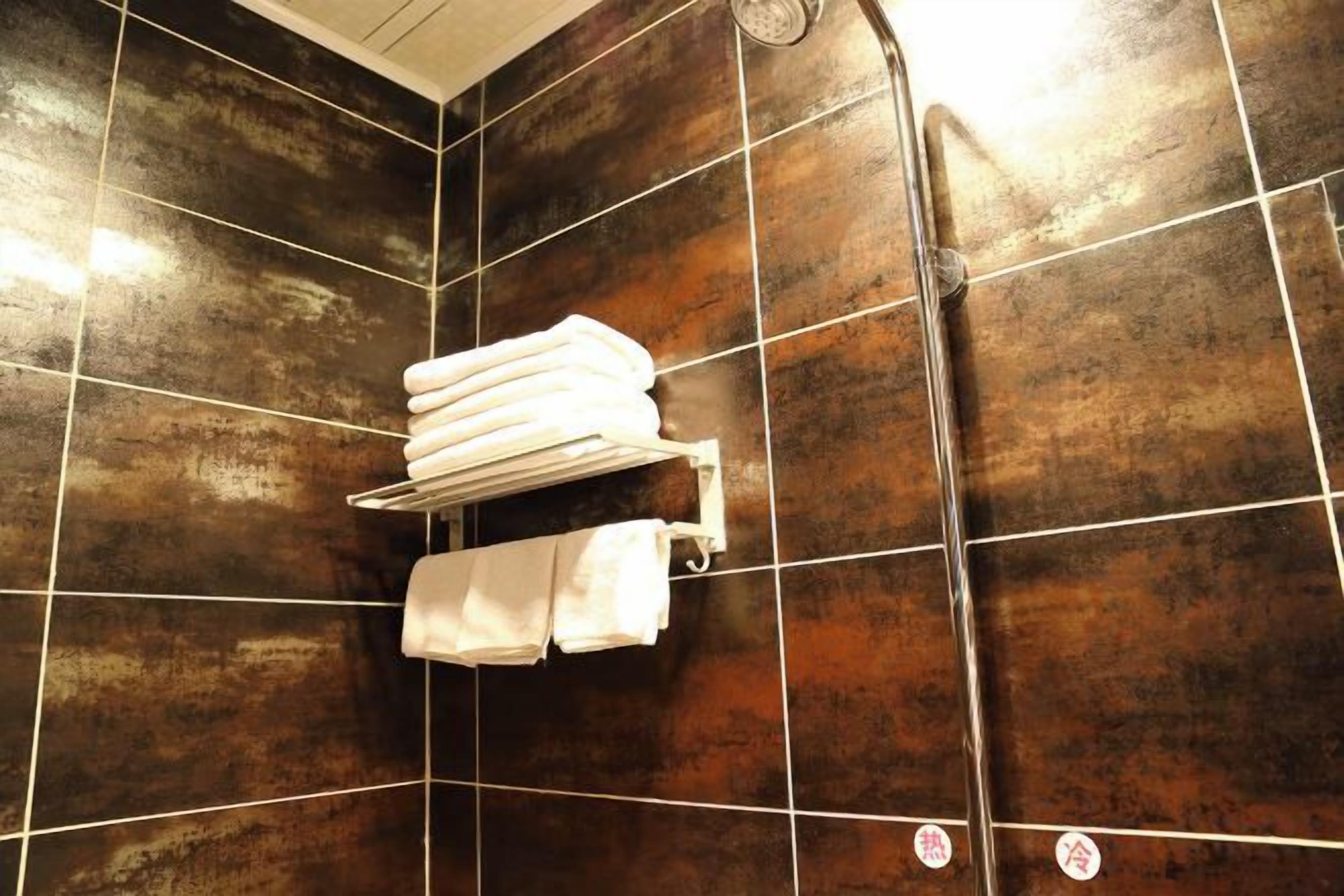 A bathroom with dark brown tiles, a towel rack with folded towels, and a visible toilet paper dispenser.