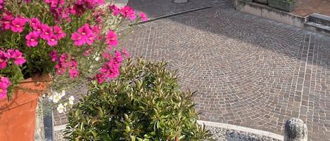 A cobblestone street lined with historic buildings, some with shutters, and a flower box in the foreground.