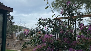 Un jardín con plantas de buganvilla y un muro de piedra.