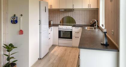 3 bedroom nice home in Skjern