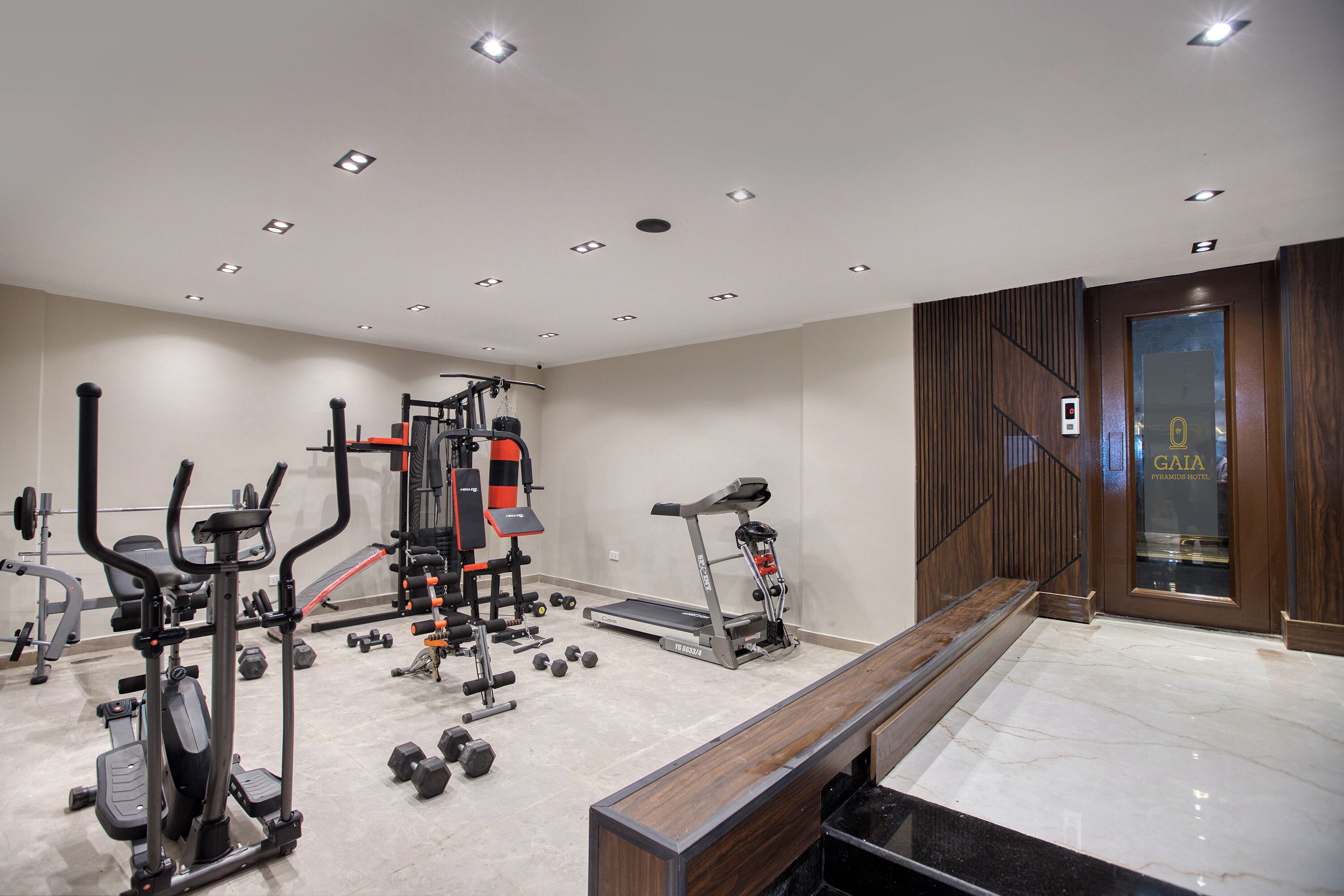 Photo - Gaia Pyramids Hotel