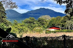 Property grounds - Apartamento con Vista al Volcán (Rio Naranjo)