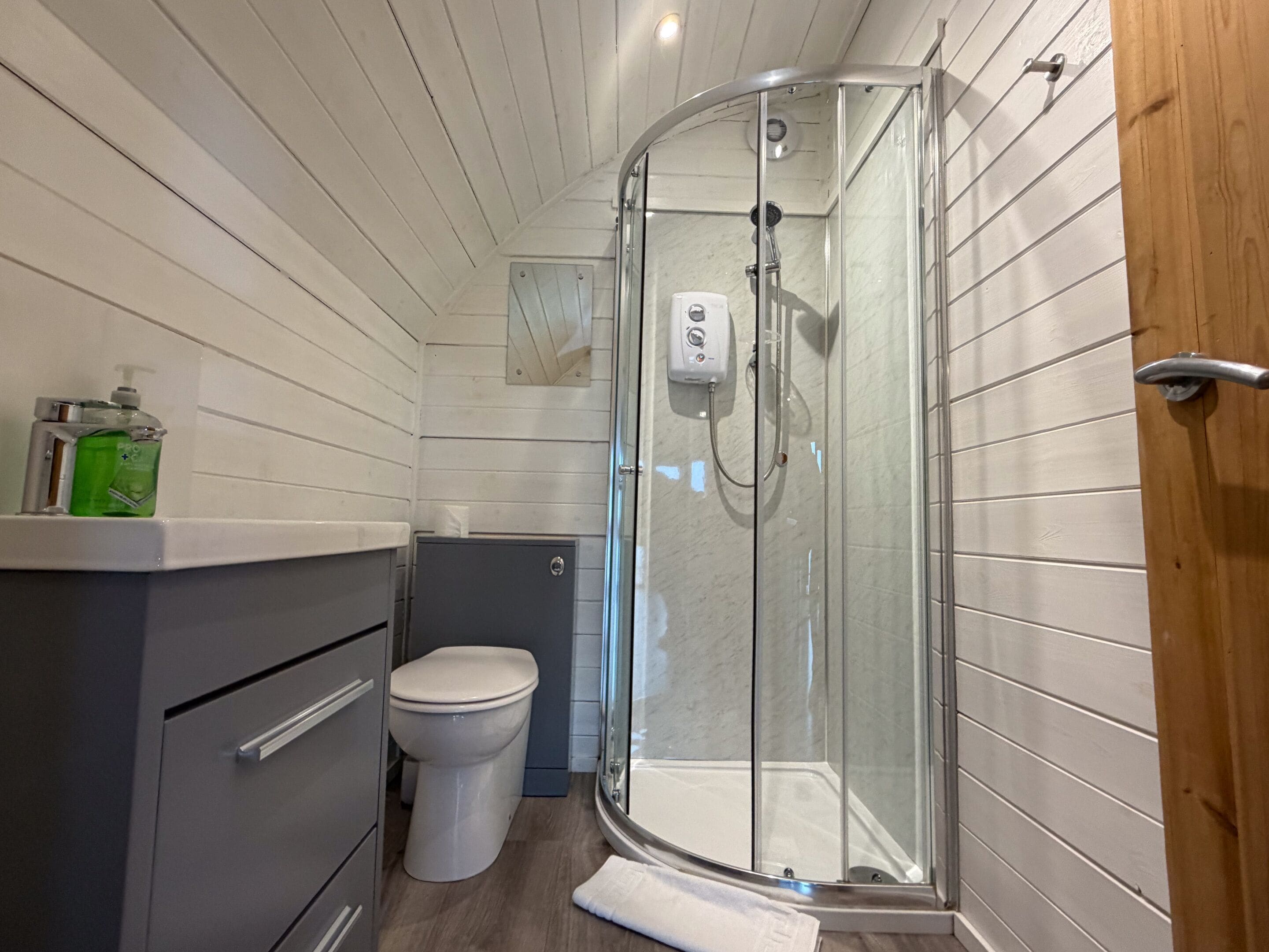 A modern bathroom with a glass shower enclosure, a toilet, and a vanity with a soap dispenser.