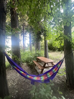 A hammock tied between trees, a wooden picnic table, and dense greenery.