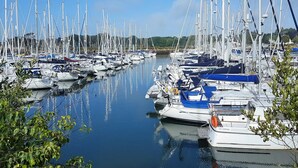 A marina with numerous sailboats docked in calm waters.