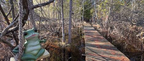 A wooden boardwalk through a forested area with dense underbrush and trees.