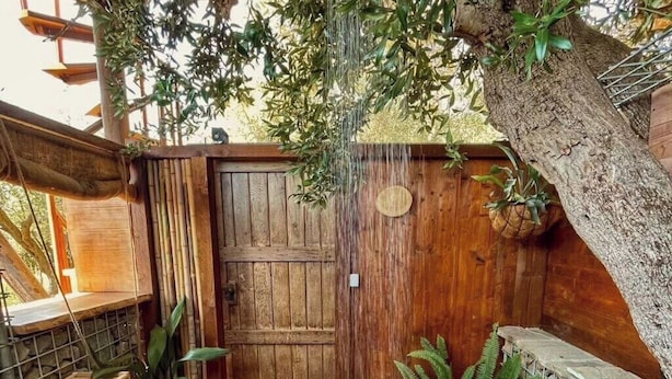 Une porte en bois, une plante suspendue, un sol en pierre à motifs et un petit banc en bois.