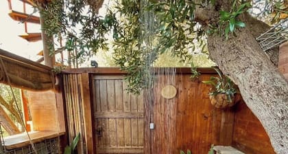 Treehouse in the Olive Grove | Private Bathroom & Outdoor Shower