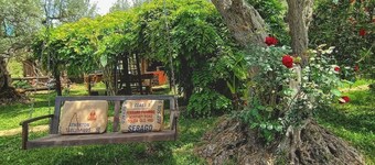 The Treehouse - Treehouse at Golden Camp