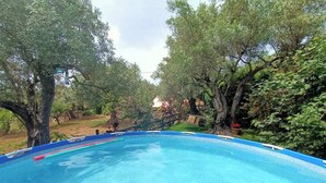 Une piscine entourée d’arbres.