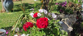 A spacious apartment close to the sea, ideal for couples, families and friends.