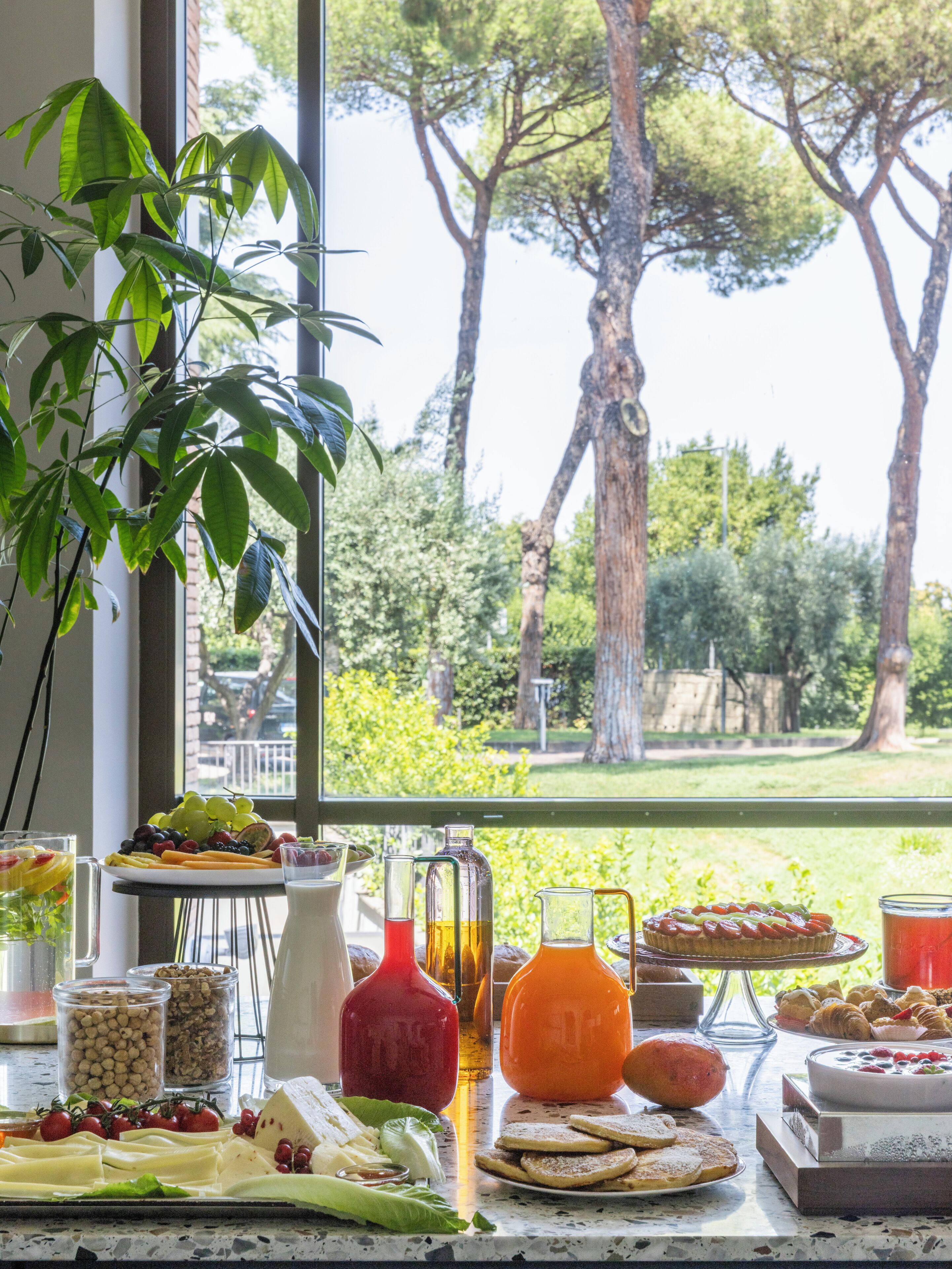 A breakfast table with various food items and drinks, a plant, and a view of trees through a window.