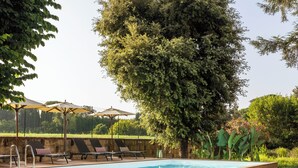 A swimming pool with a wooden deck and lounge area, surrounded by trees and greenery. - Adoro Hotel  (Rome)