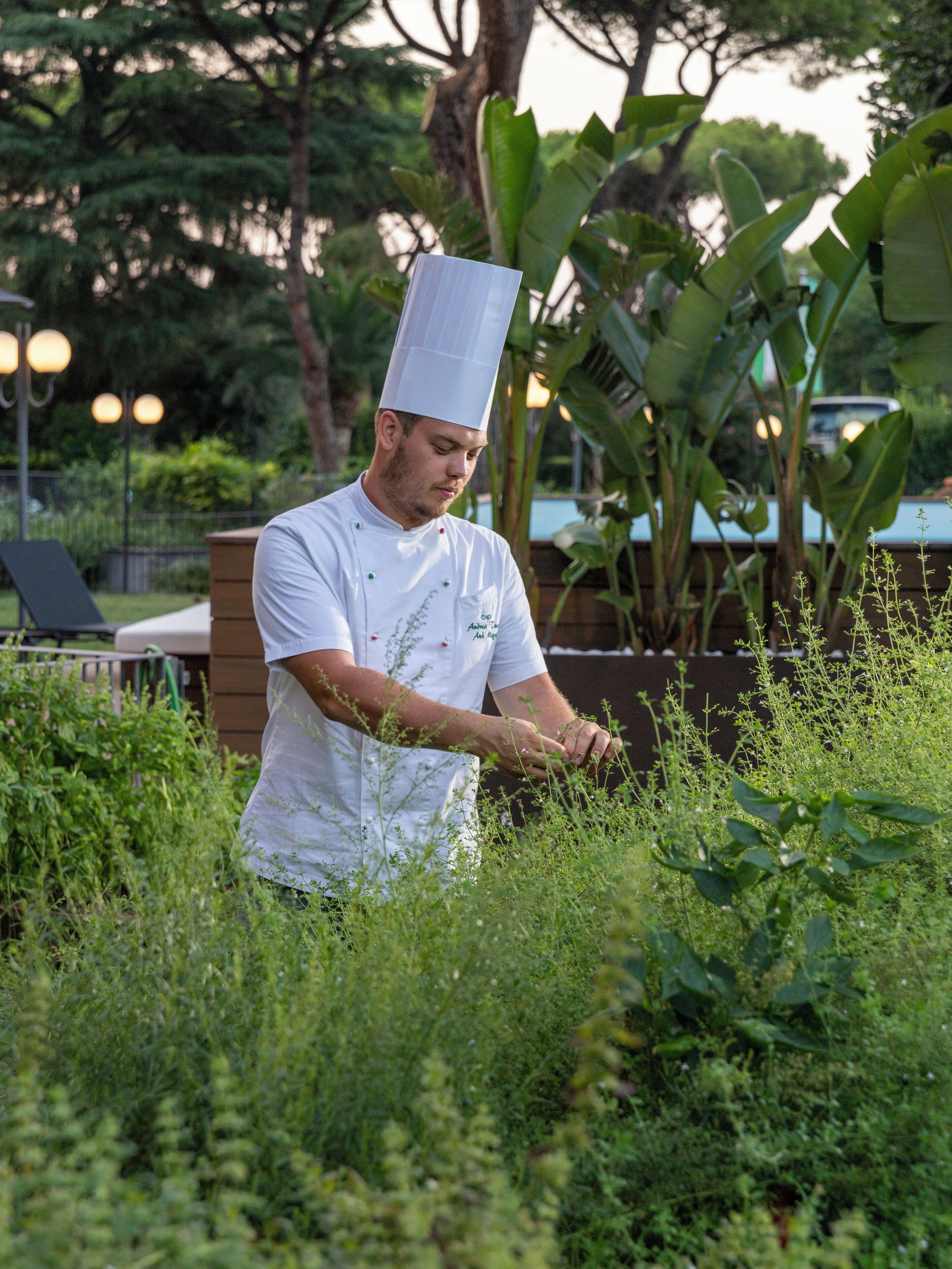 A chef in a white uniform with a tall hat, surrounded by greenery and a brick wall.