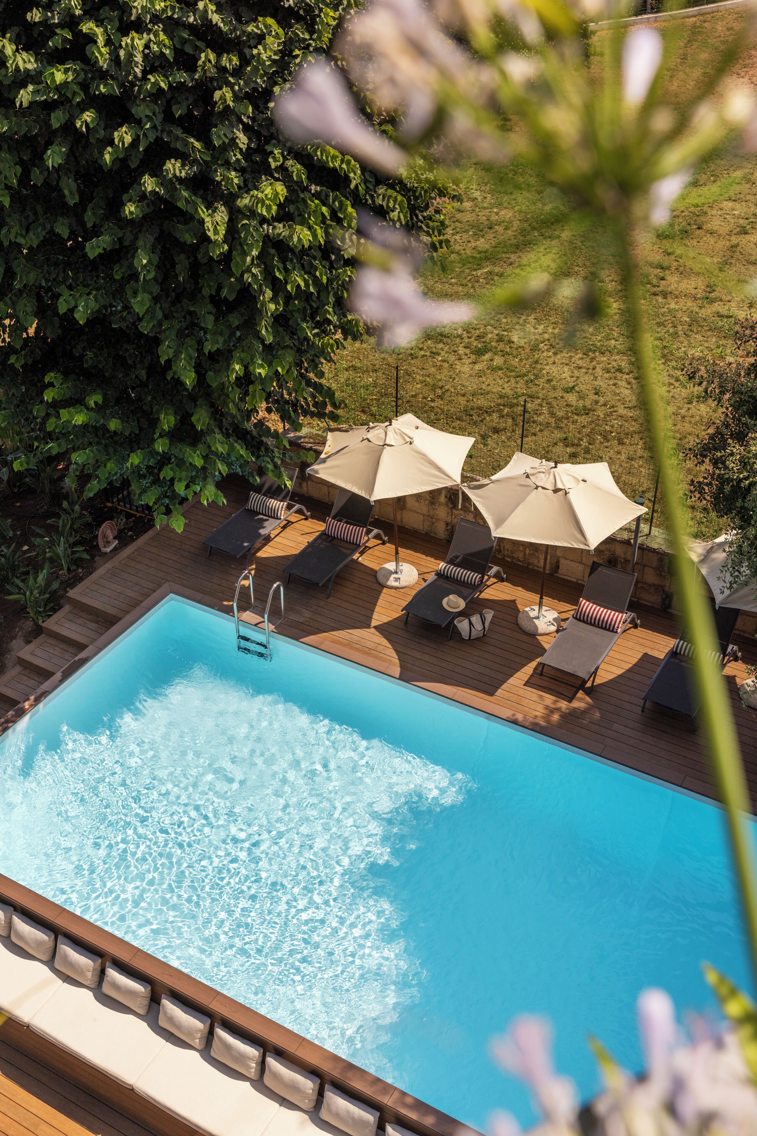 Una piscina con sillas de descanso y sombrillas, rodeada de vegetación.