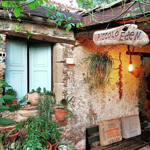 Glamping Bell Tent for 4 | Family, Donkeys & Olive Grove, Calabria