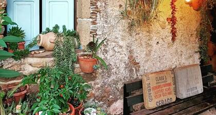 Glamping Bell Tent for 4 | Family, Donkeys & Olive Grove, Calabria