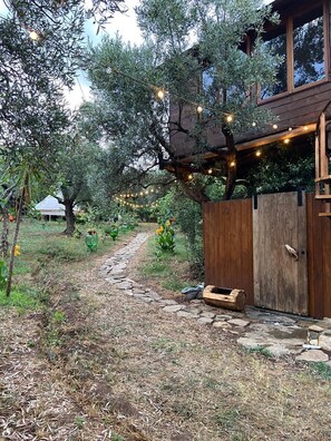 Áreas de la propiedad