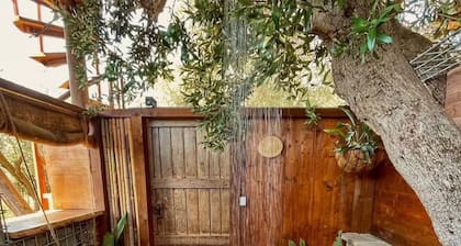 Boho Bell Tent for Couples | Olive Grove & Hanging Chair, Calabria