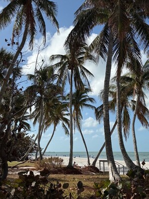 Beach - Luxurious 2024 5-BR House-- Heated Pool and Outdoor Kitchen, just minutes from beaches and downtown (Naples)